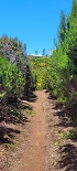Plants: image 114 Of 208 Thumb